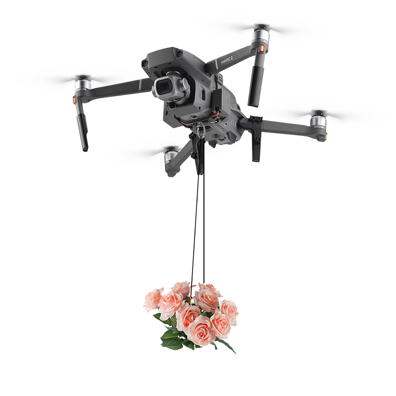 BRDRC-sistema de caída de AirD - Drone Dji Rc 2 reseña y precio